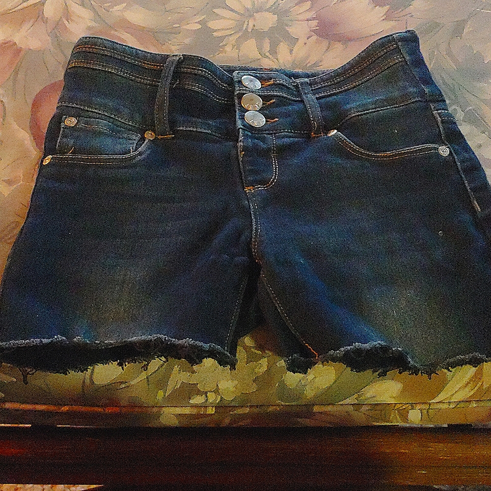 Girl Shorts. Tight Fitting. Dark Blue. No Flaws